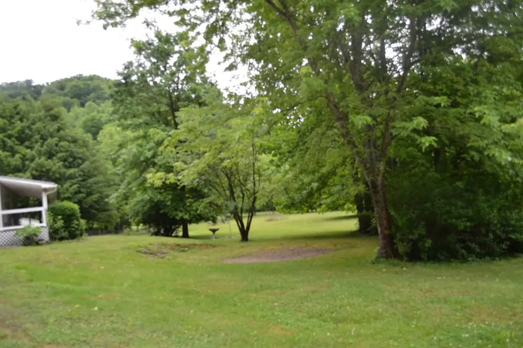 1505 Add Stafford Road Hilham TN 38568