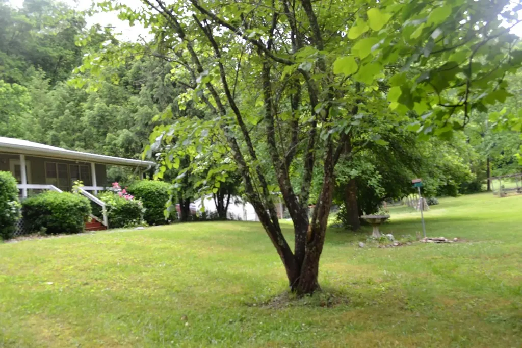 1505 Add Stafford Road Hilham TN 38568