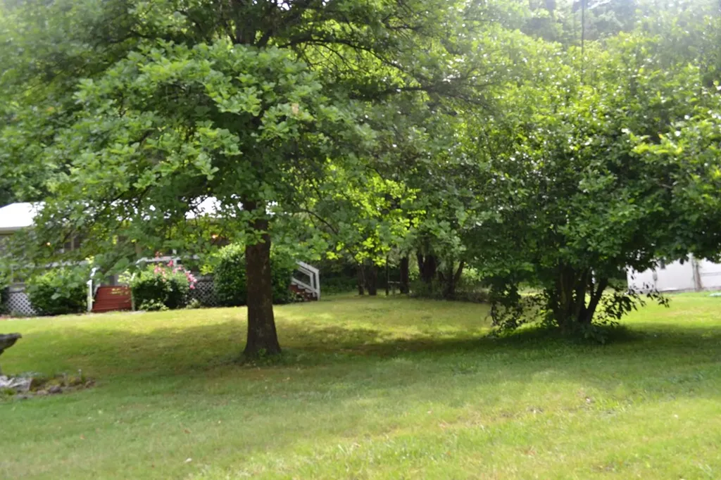 1505 Add Stafford Road Hilham TN 38568
