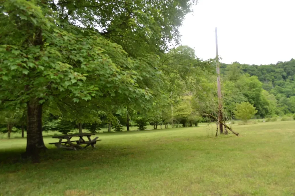 1505 Add Stafford Road Hilham TN 38568