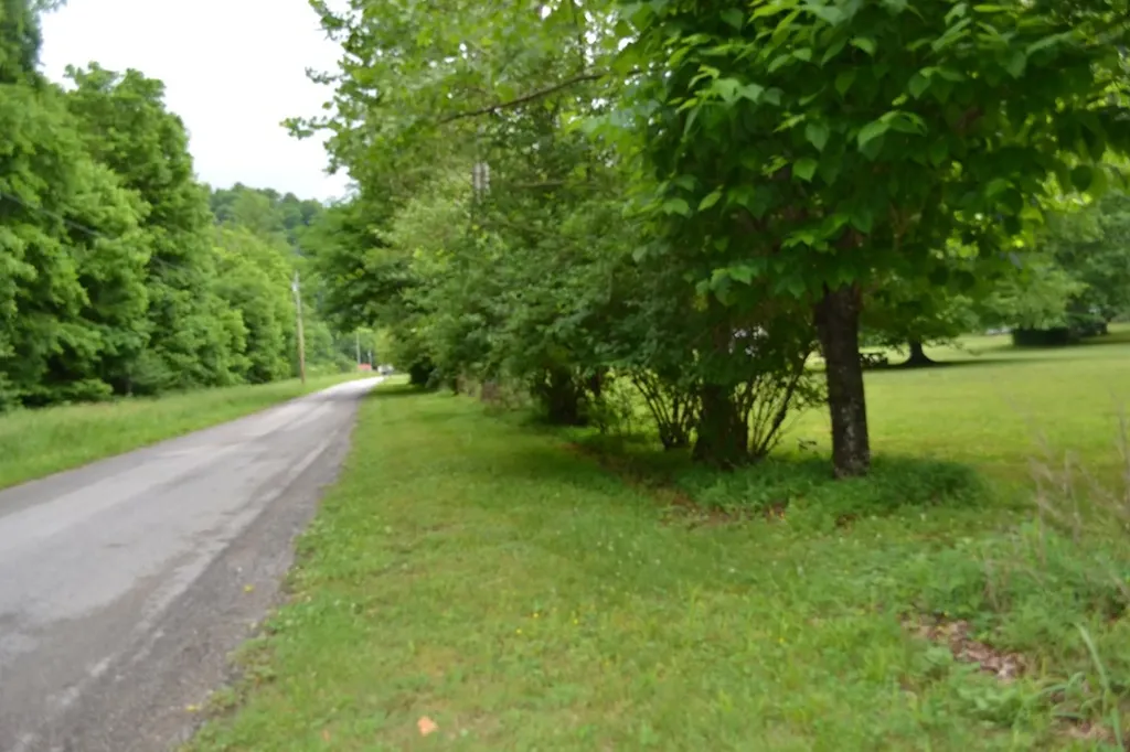 1505 Add Stafford Road Hilham TN 38568
