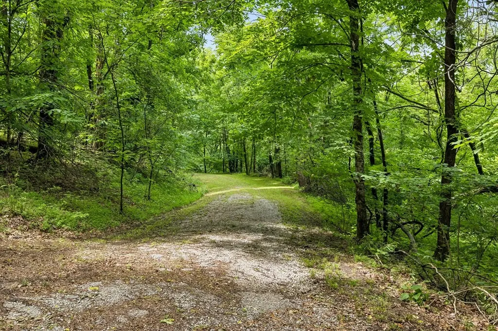 8 Matthews Mountain Lane Carthage TN 37030