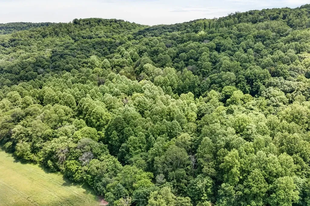 1088 Lee Hollow Road Sparta TN 38583