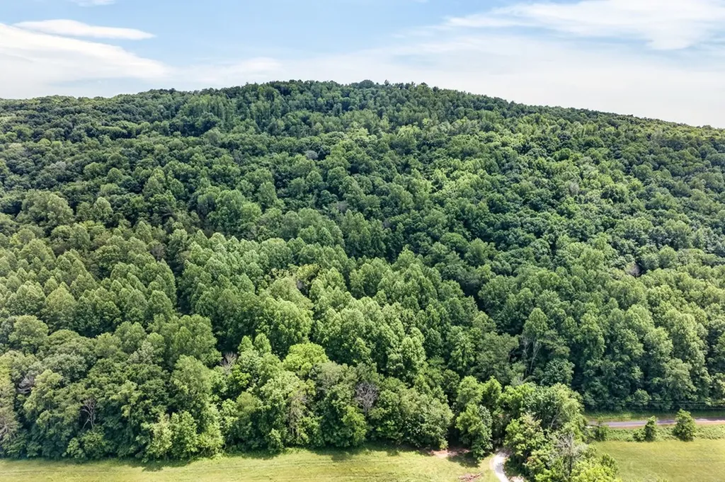 1088 Lee Hollow Road Sparta TN 38583