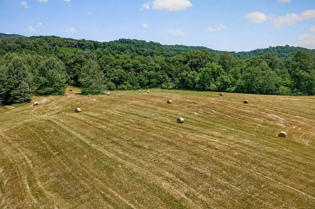 1372 Plum Creek Road Sparta TN 38583-5423