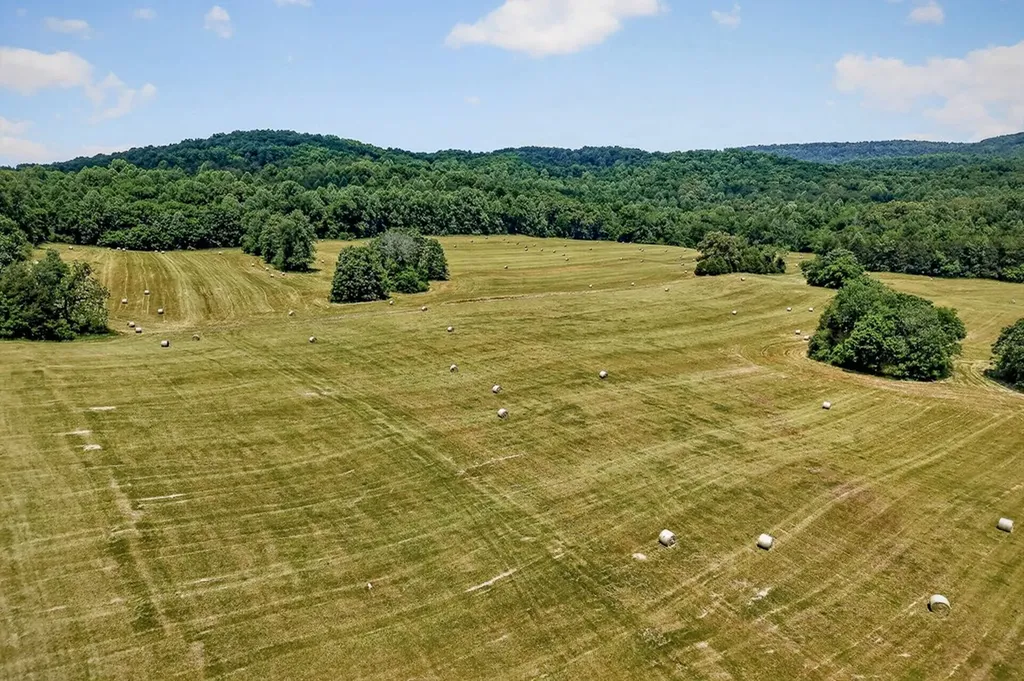 1372 Plum Creek Road Sparta TN 38583-5423