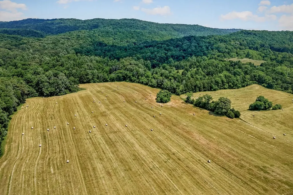 1372 Plum Creek Road Sparta TN 38583-5423