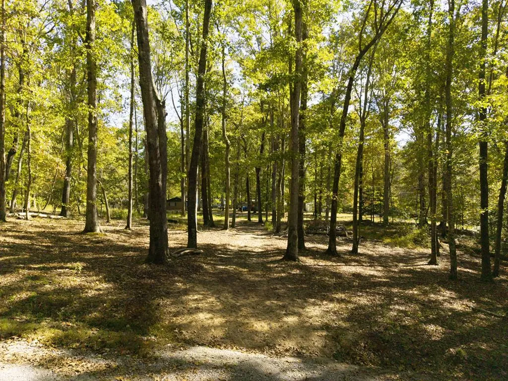 484 Apollo Drive Spring City TN 37381