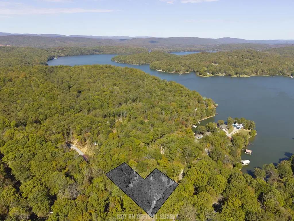 484 Apollo Drive Spring City TN 37381