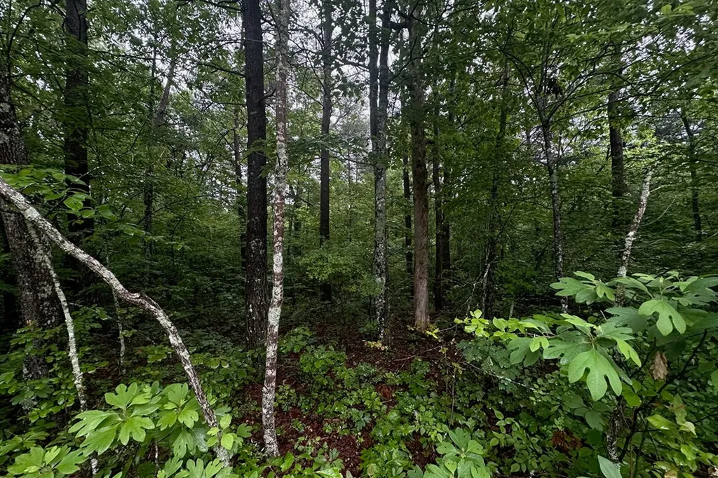 0 Cumberland Lakes Drive Monterey TN 38574