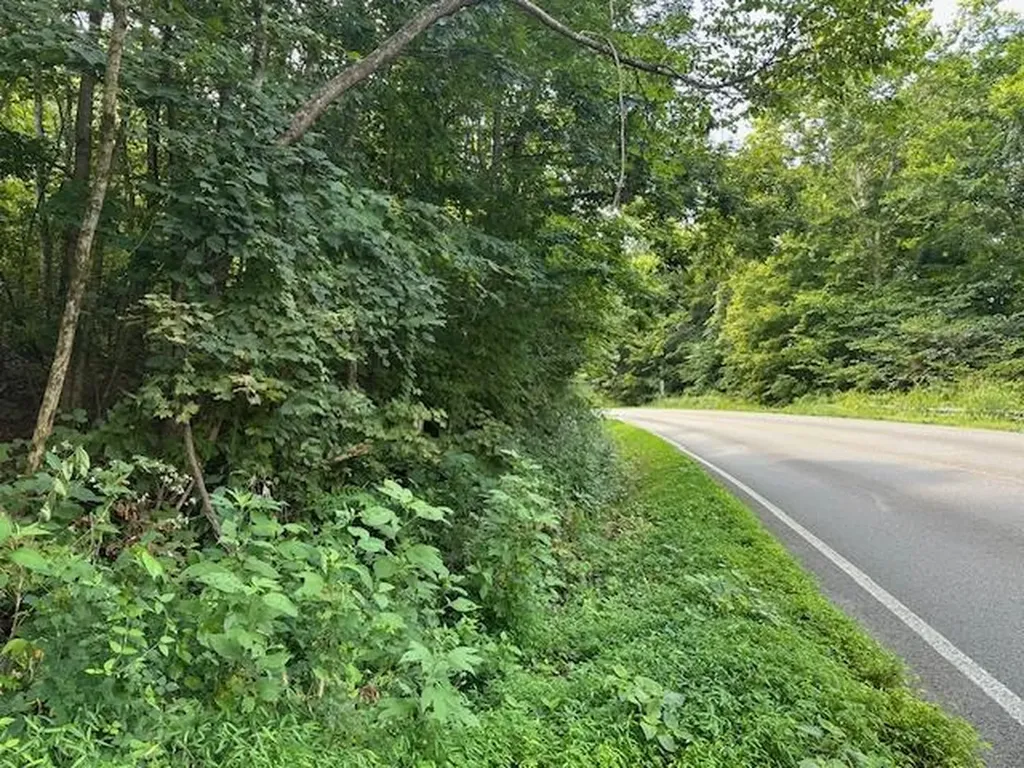 Wilder TN 38589