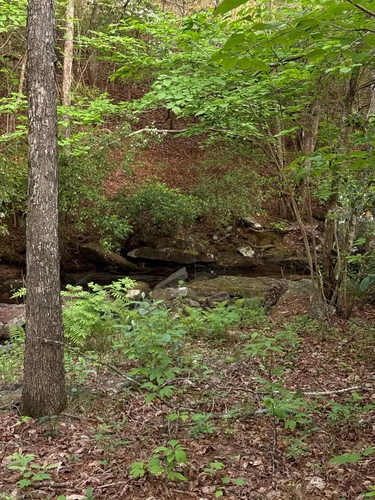 0 Genesis Road - 10.14 Acres Crossville TN 38571