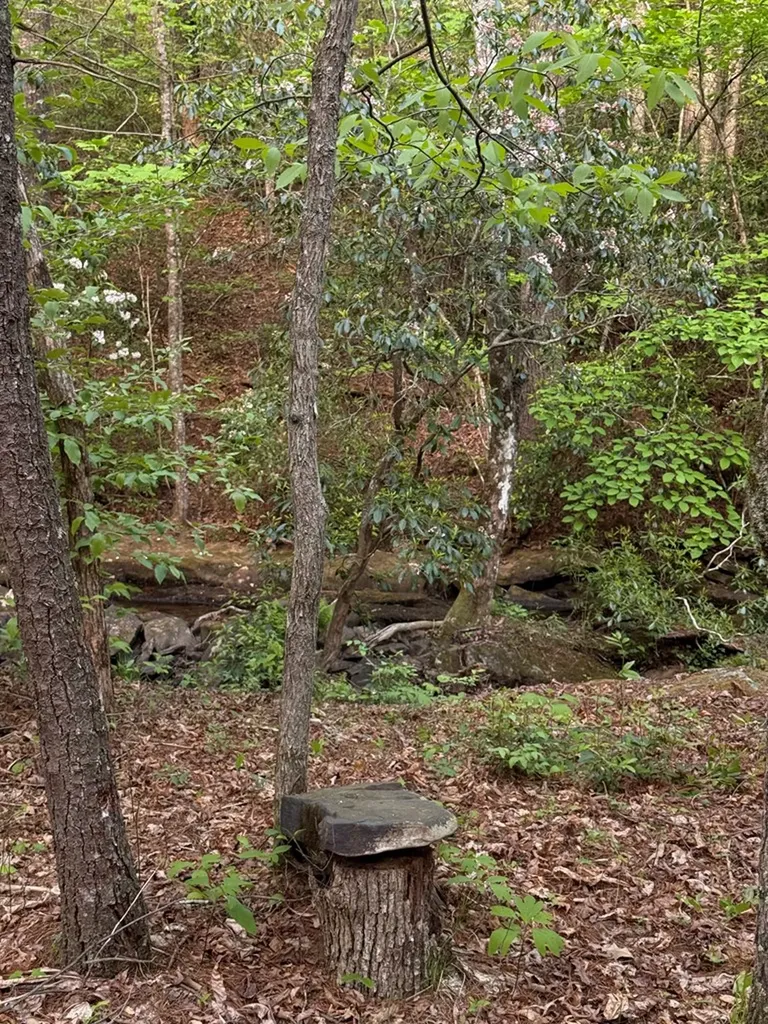 0 Genesis Road - 10.14 Acres Crossville TN 38571