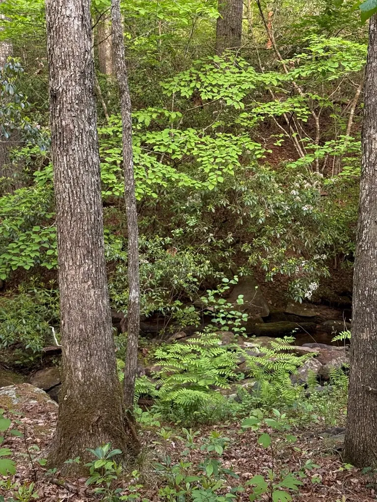 0 Genesis Road - 10.14 Acres Crossville TN 38571
