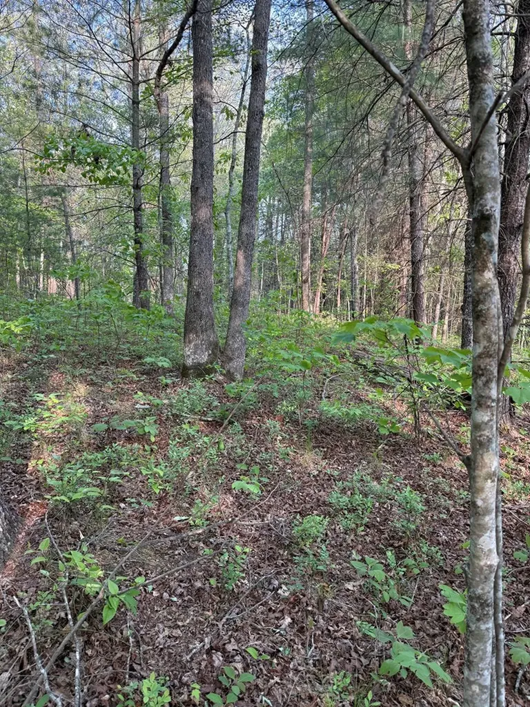 0 Genesis Road - 10.14 Acres Crossville TN 38571