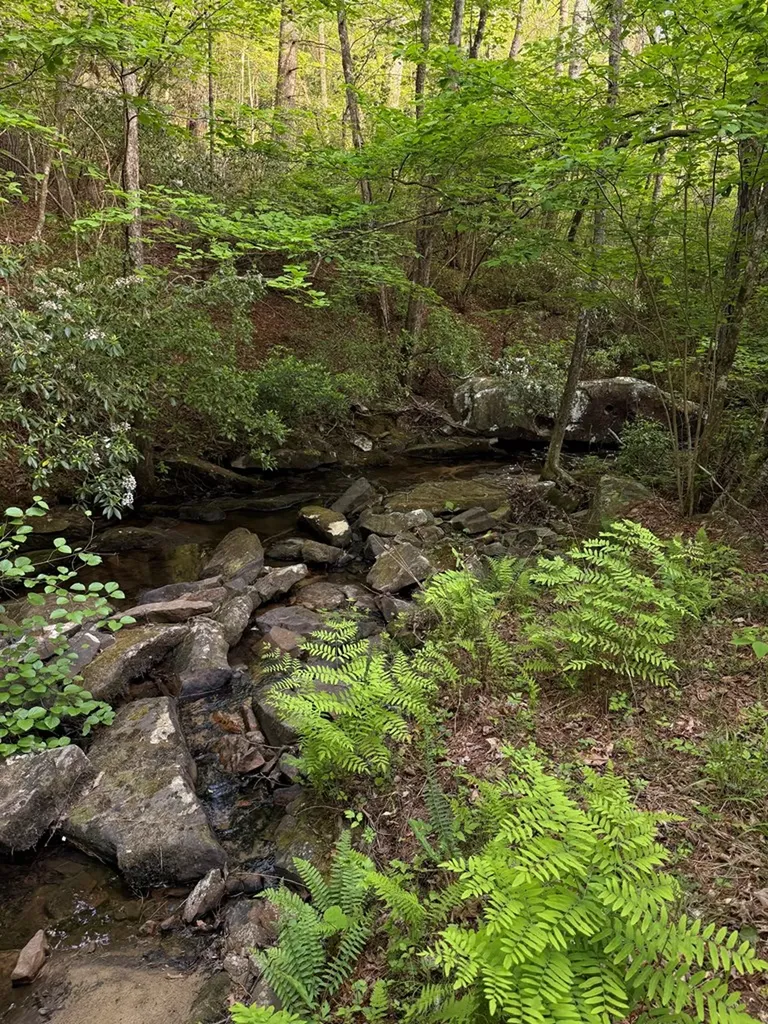 0 Genesis Road - 10.14 Acres Crossville TN 38571