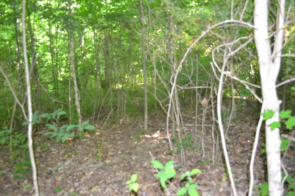 5AC Dynamite Lane Livingston TN 38570