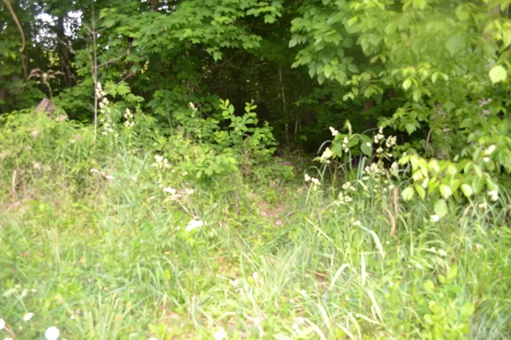 5AC Dynamite Lane Livingston TN 38570