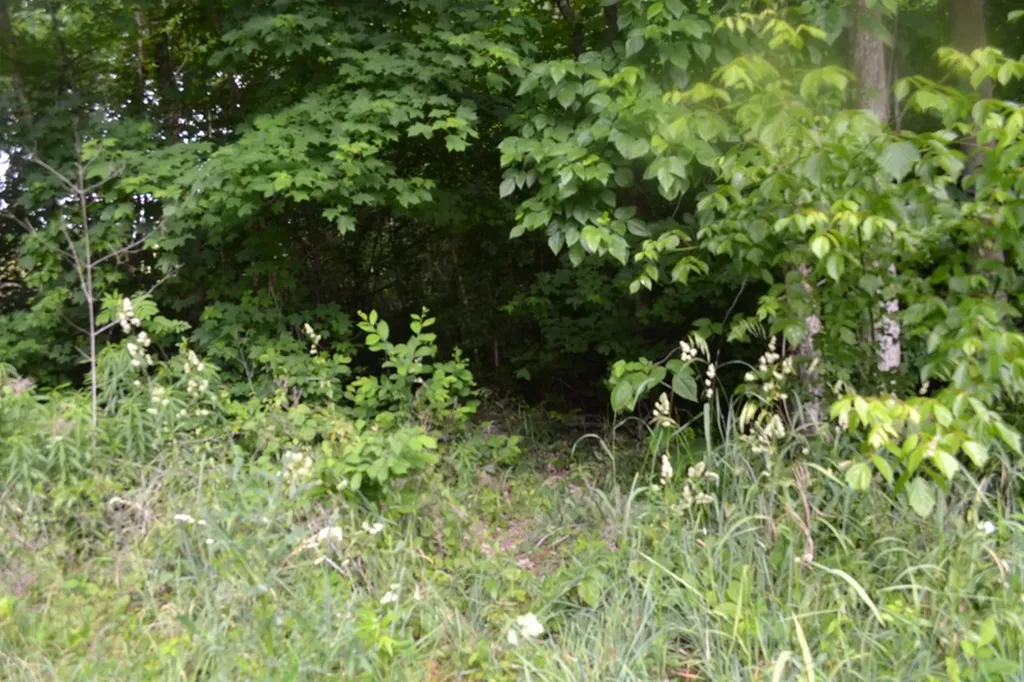 5AC Dynamite Lane Livingston TN 38570
