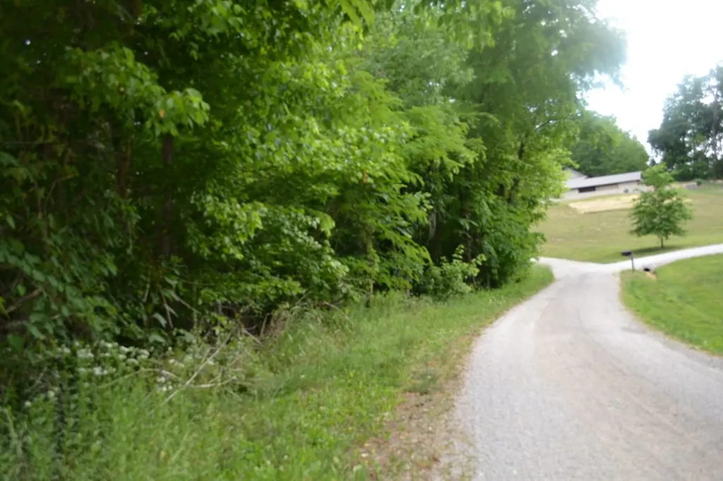 5AC Dynamite Lane Livingston TN 38570