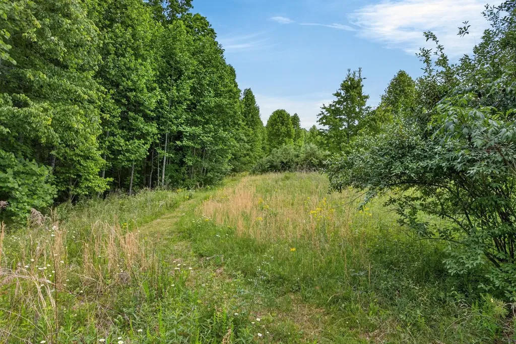 420 Oneida Lane Wilder TN 38589