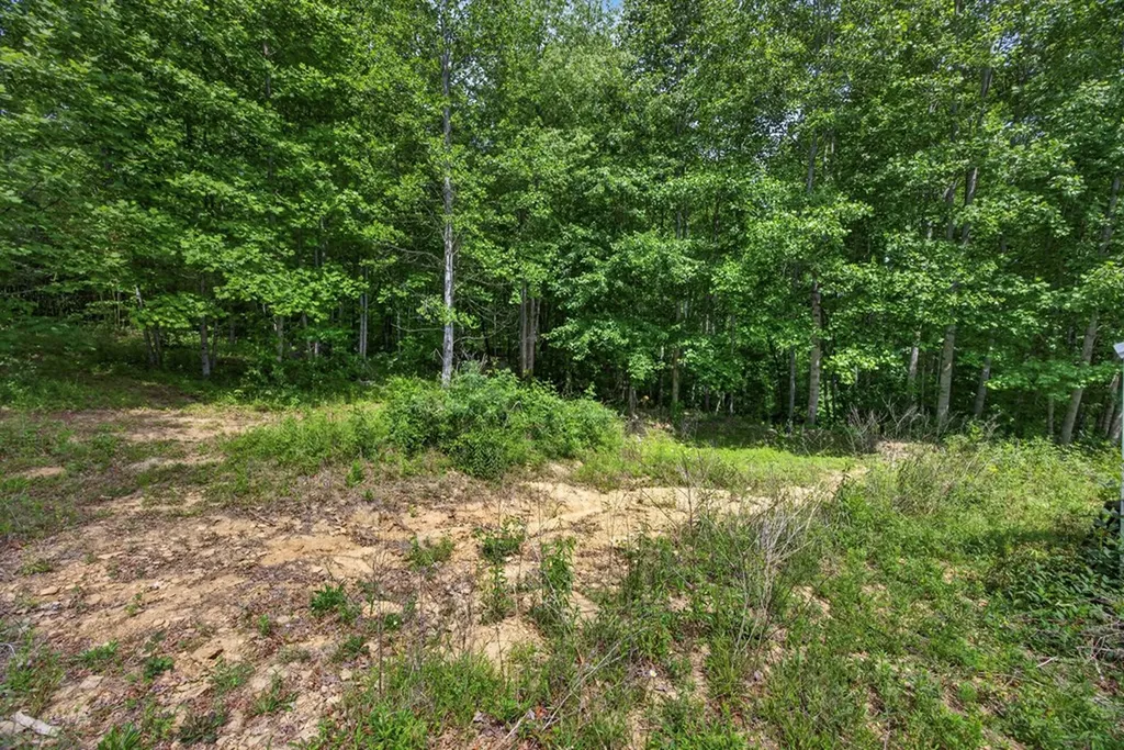 420 Oneida Lane Wilder TN 38589