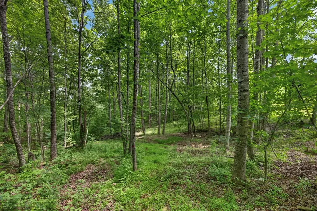 420 Oneida Lane Wilder TN 38589