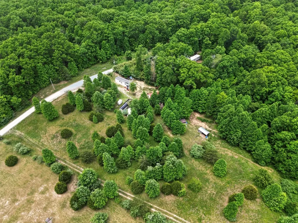 420 Oneida Lane Wilder TN 38589