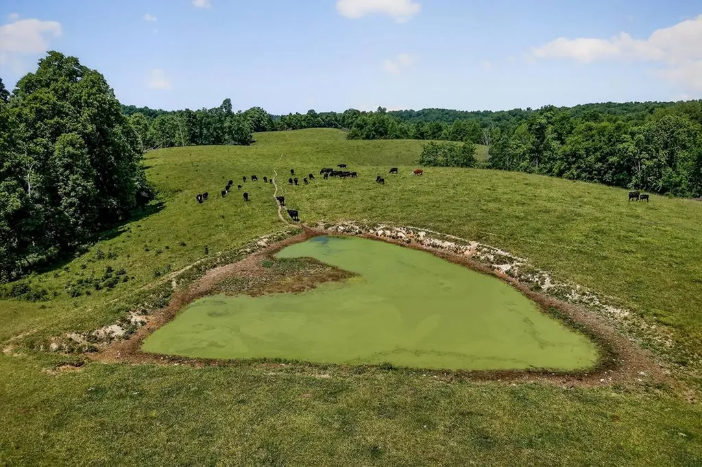 8495 Baxter Road Baxter TN 38544