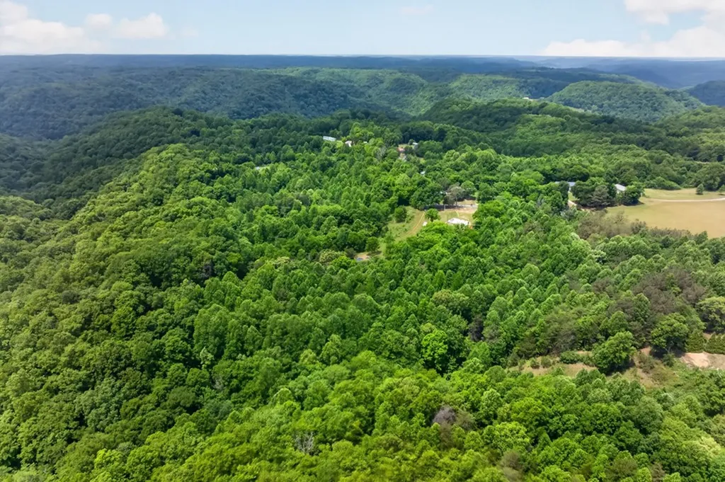 175 Harris Lane Cookeville TN 38501