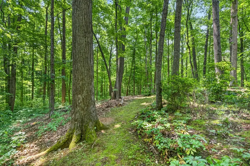 555 S Maple Cookeville TN 38501
