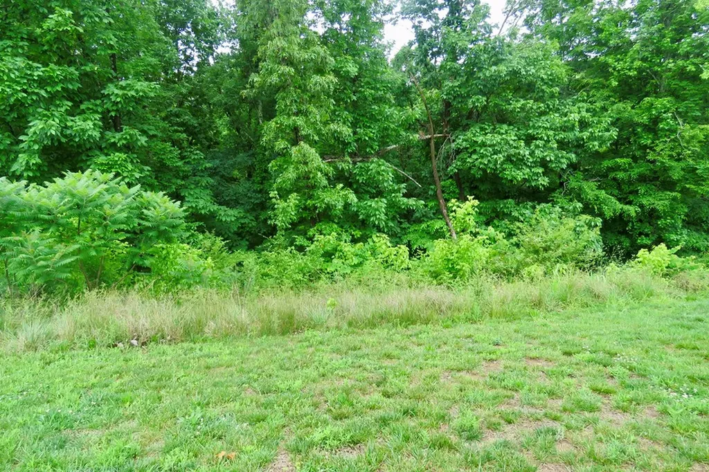 340 Hemlock Circle Cookeville TN 38501