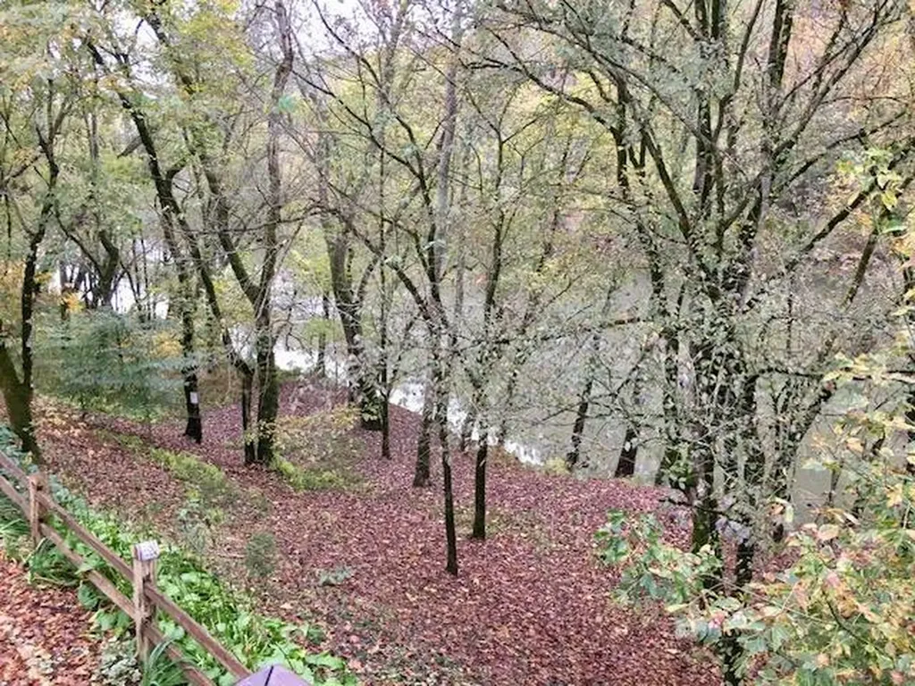195 Hiawassee Lane Celina TN 38551