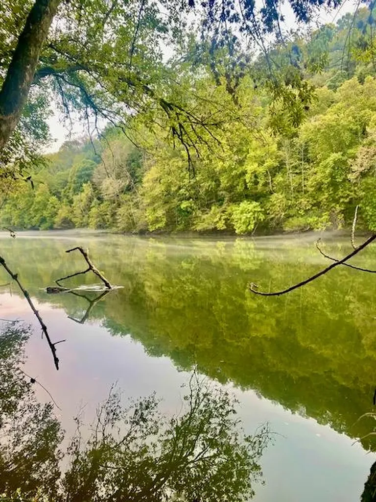 195 Hiawassee Lane Celina TN 38551