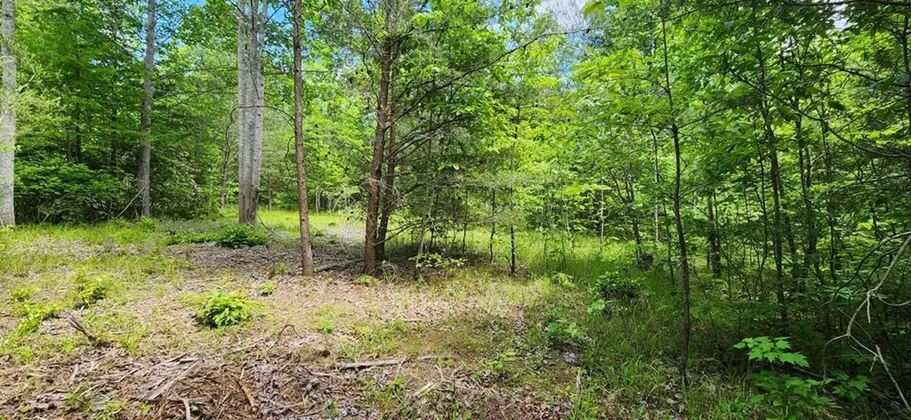 Lot 134 Hillis Cemetery Road Spencer TN 38585