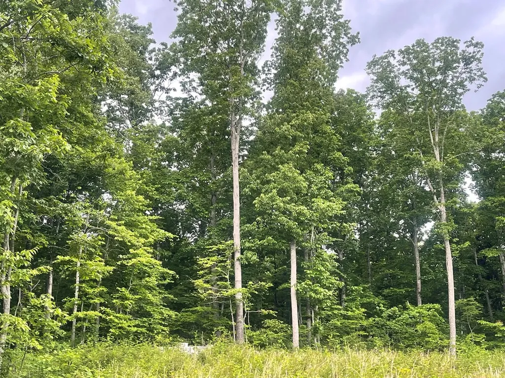 0 Willow Ridge Drive Crossville TN 38571