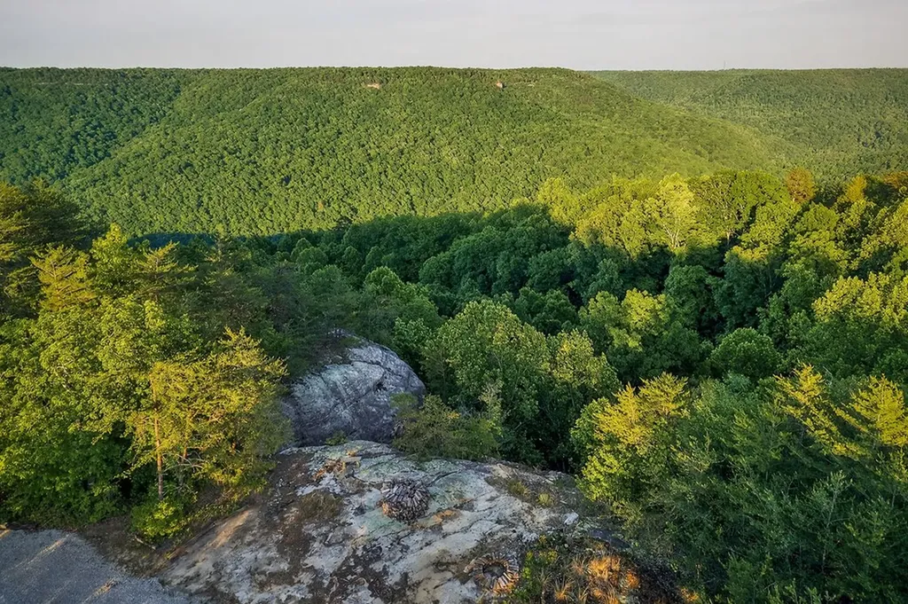 275 Buckeye Lane Wilder TN 38589