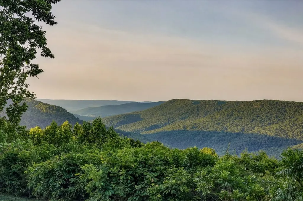 275 Buckeye Lane Wilder TN 38589