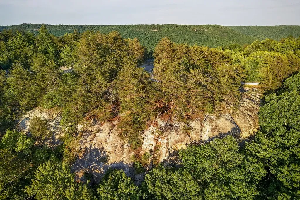 275 Buckeye Lane Wilder TN 38589
