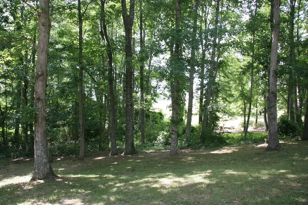 176 Grace Hill Drive Crossville TN 38571
