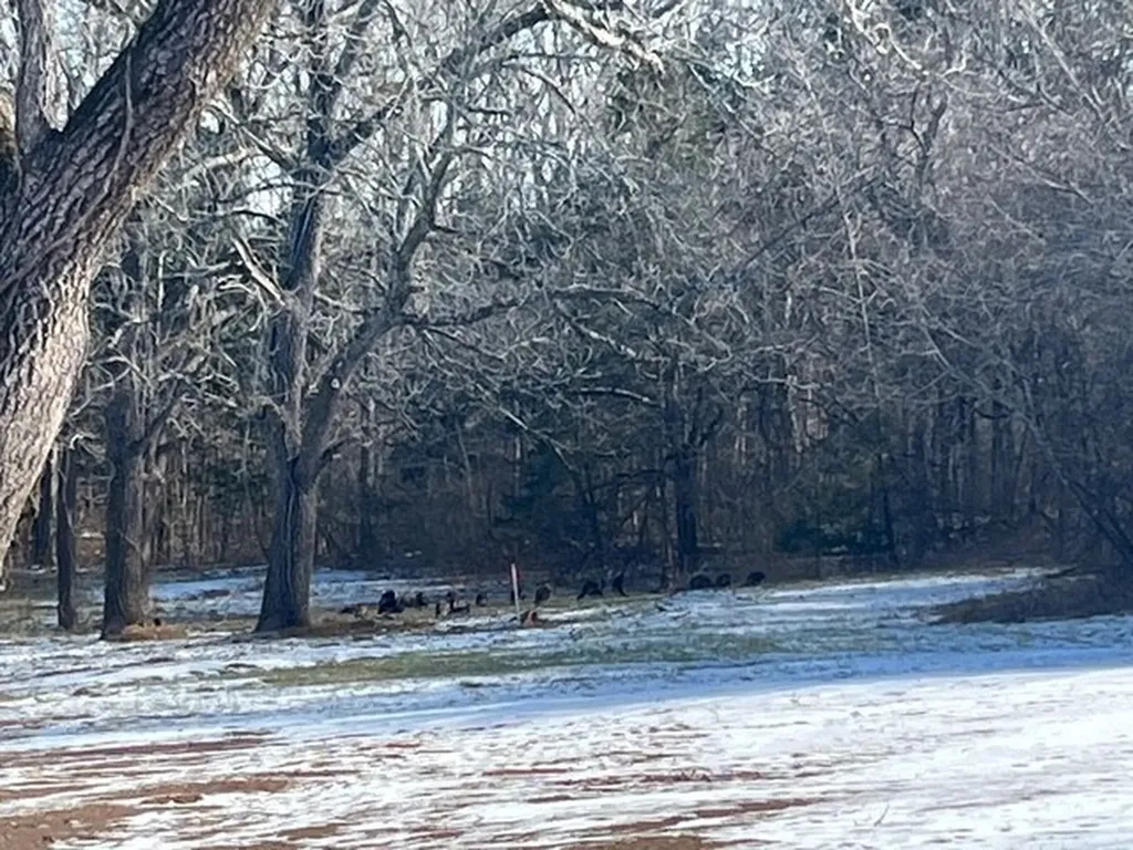 13841 Cainesville Road Lot 3 Lebanon TN 37090