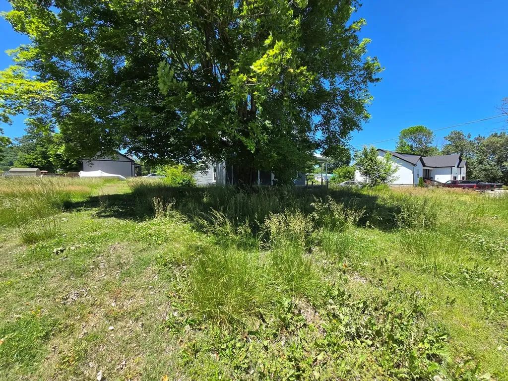 169 Wilhite Street Doyle TN 38559