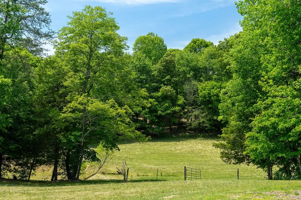 29 +/- Acres Standing Stone Highway Hilham TN 38568