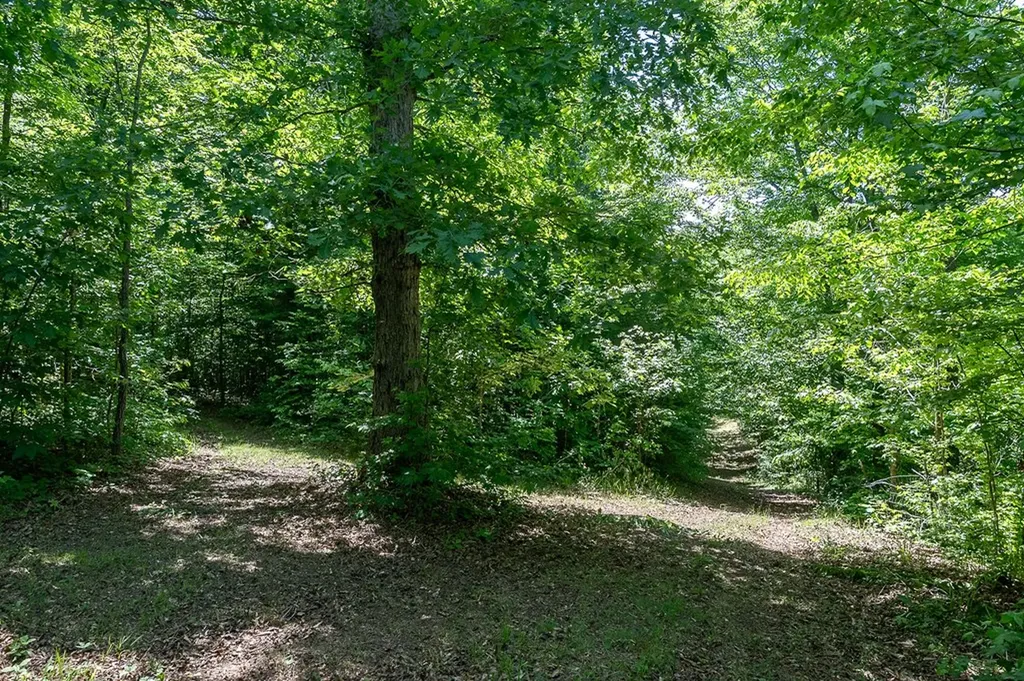 29 +/- Acres Standing Stone Highway Hilham TN 38568