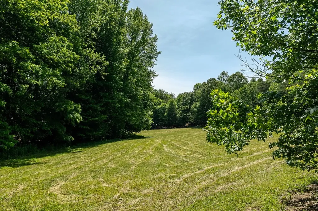 29 +/- Acres Standing Stone Highway Hilham TN 38568