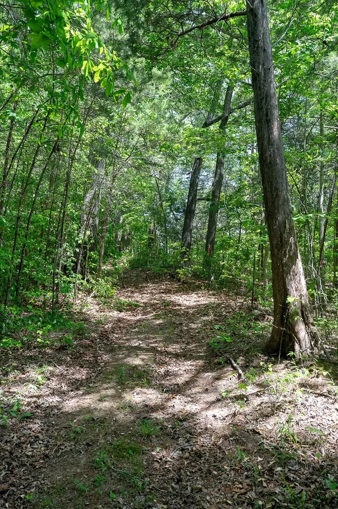 29 +/- Acres Standing Stone Highway Hilham TN 38568