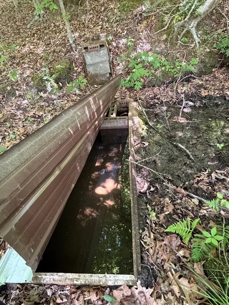 29 +/- Acres Standing Stone Highway Hilham TN 38568