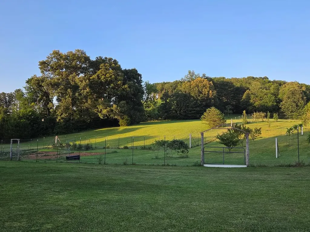1518 Cummingsville & Sparkman Road Doyle TN 38559