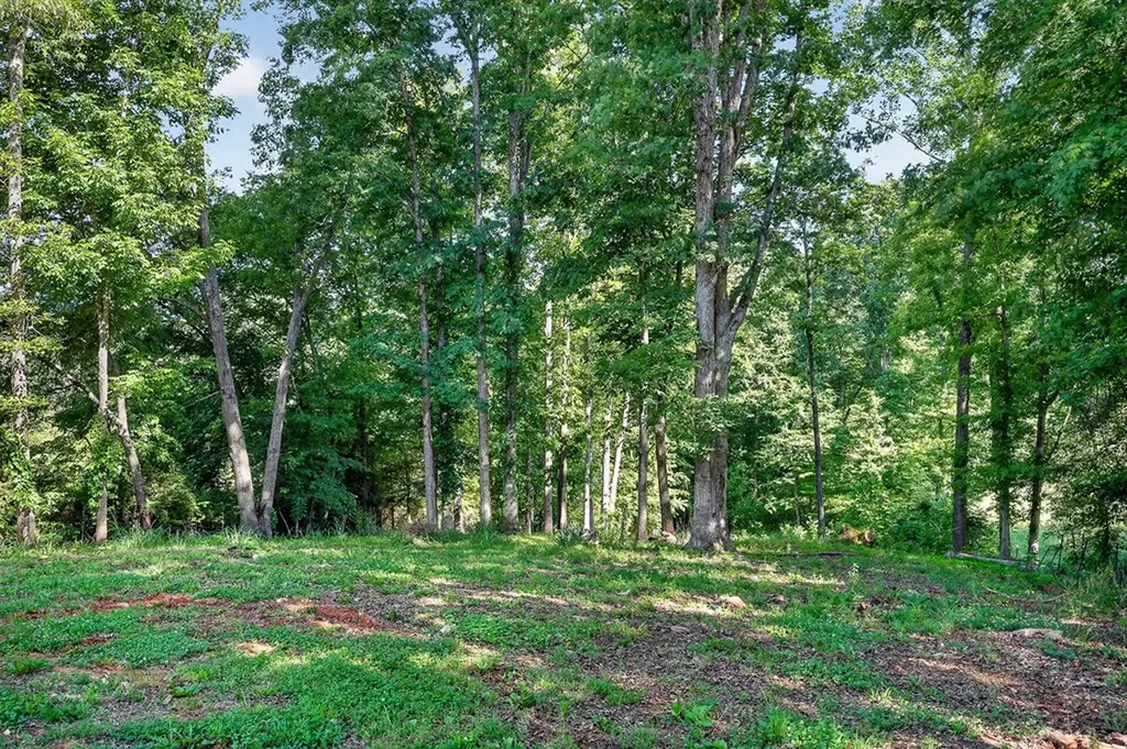 1883 Browntown Road Sparta TN 38583