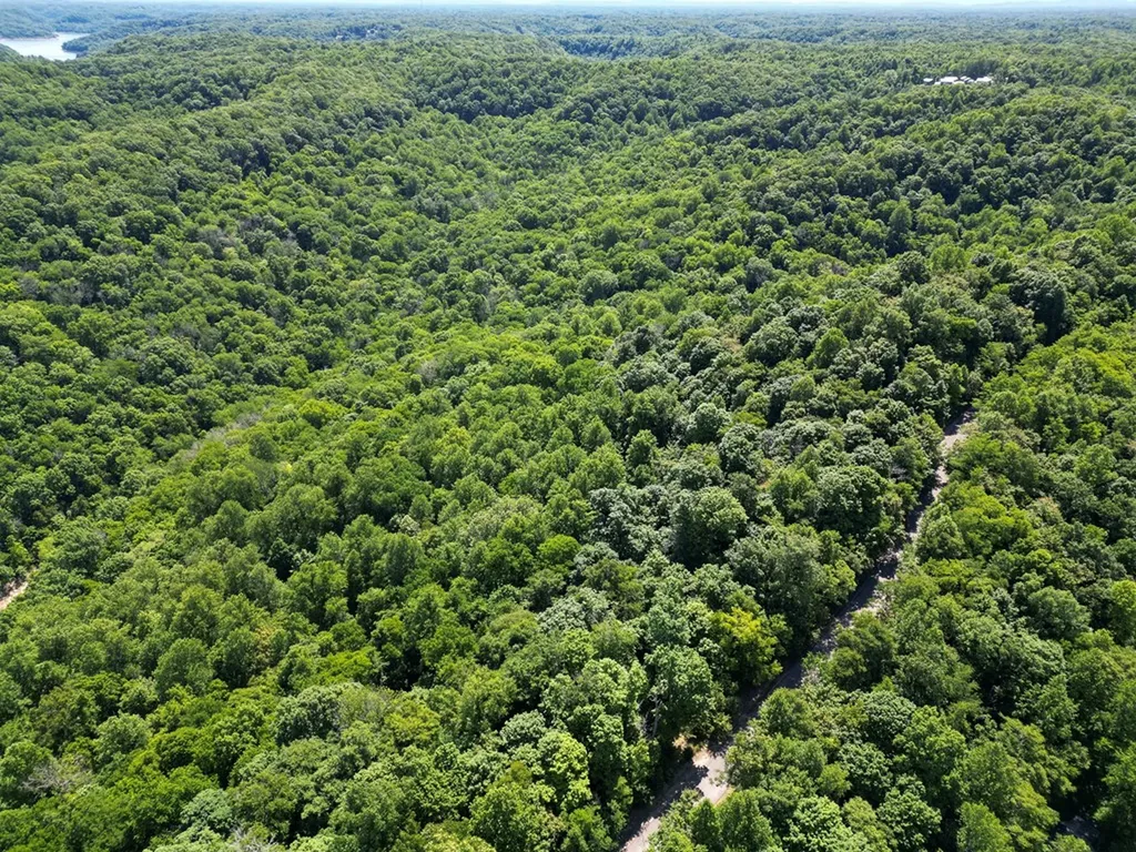0 Coconut Ridge Road Smithville TN 37166